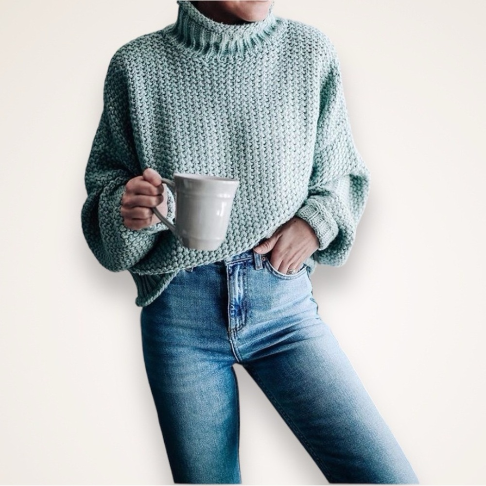 H&M Chunky Knit Turtleneck Sweater